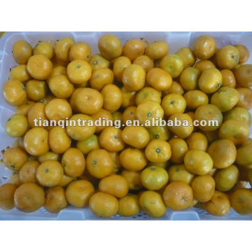 mandarin orange supplier